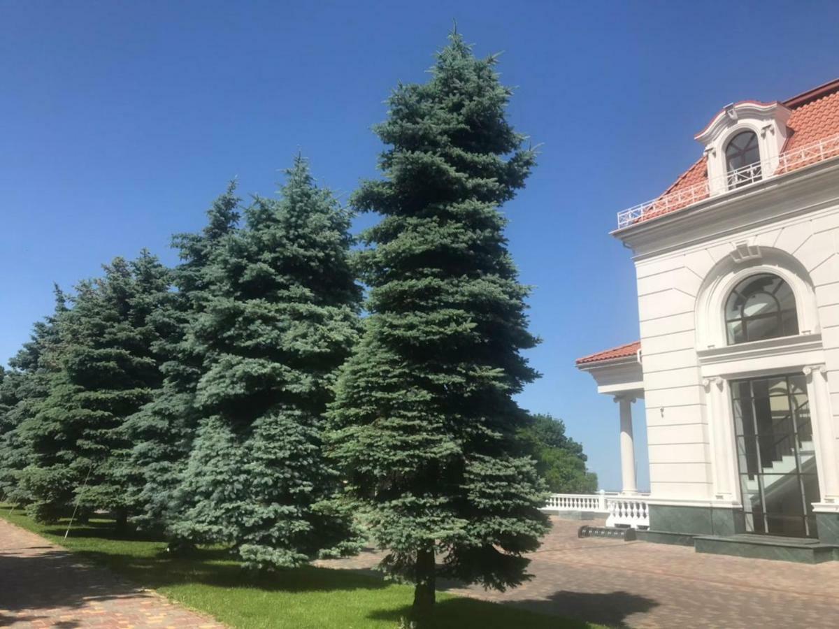 Спальня-Студия С Видом На Море И Парк Odessza Kültér fotó